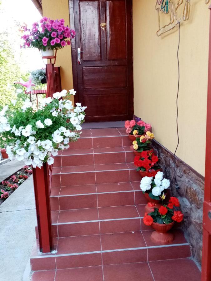 Casa Voica Apartment Turda Bagian luar foto