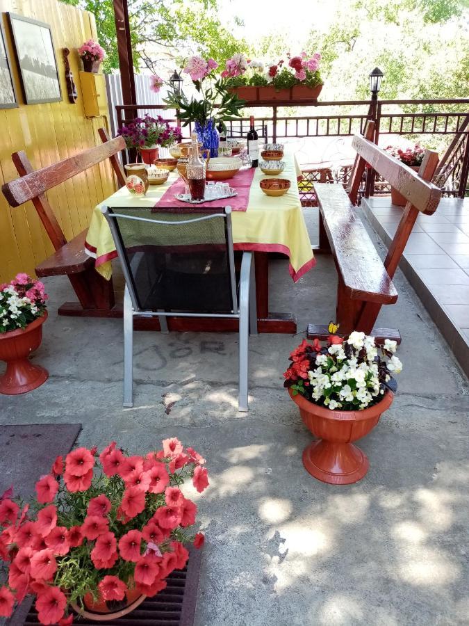 Casa Voica Apartment Turda Bagian luar foto