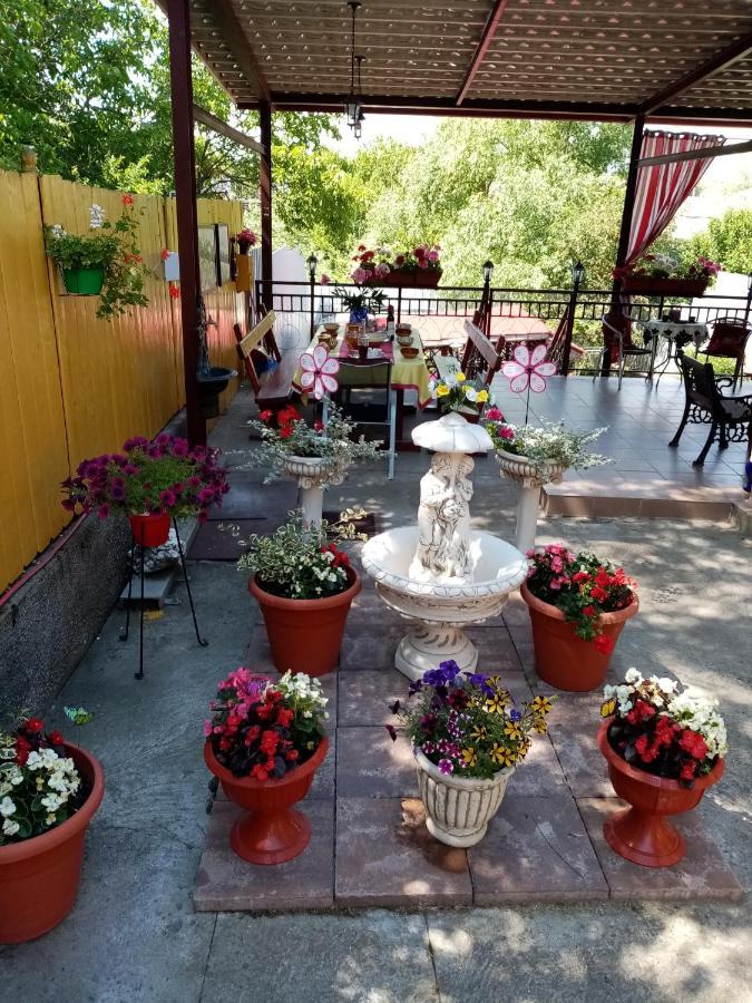 Casa Voica Apartment Turda Bagian luar foto