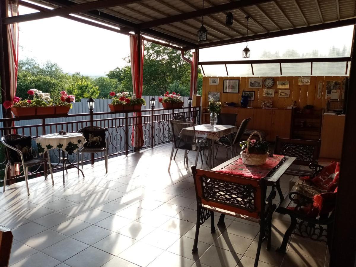 Casa Voica Apartment Turda Bagian luar foto