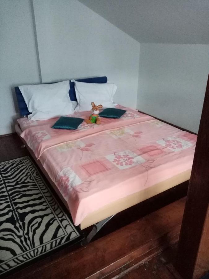 Casa Voica Apartment Turda Bagian luar foto