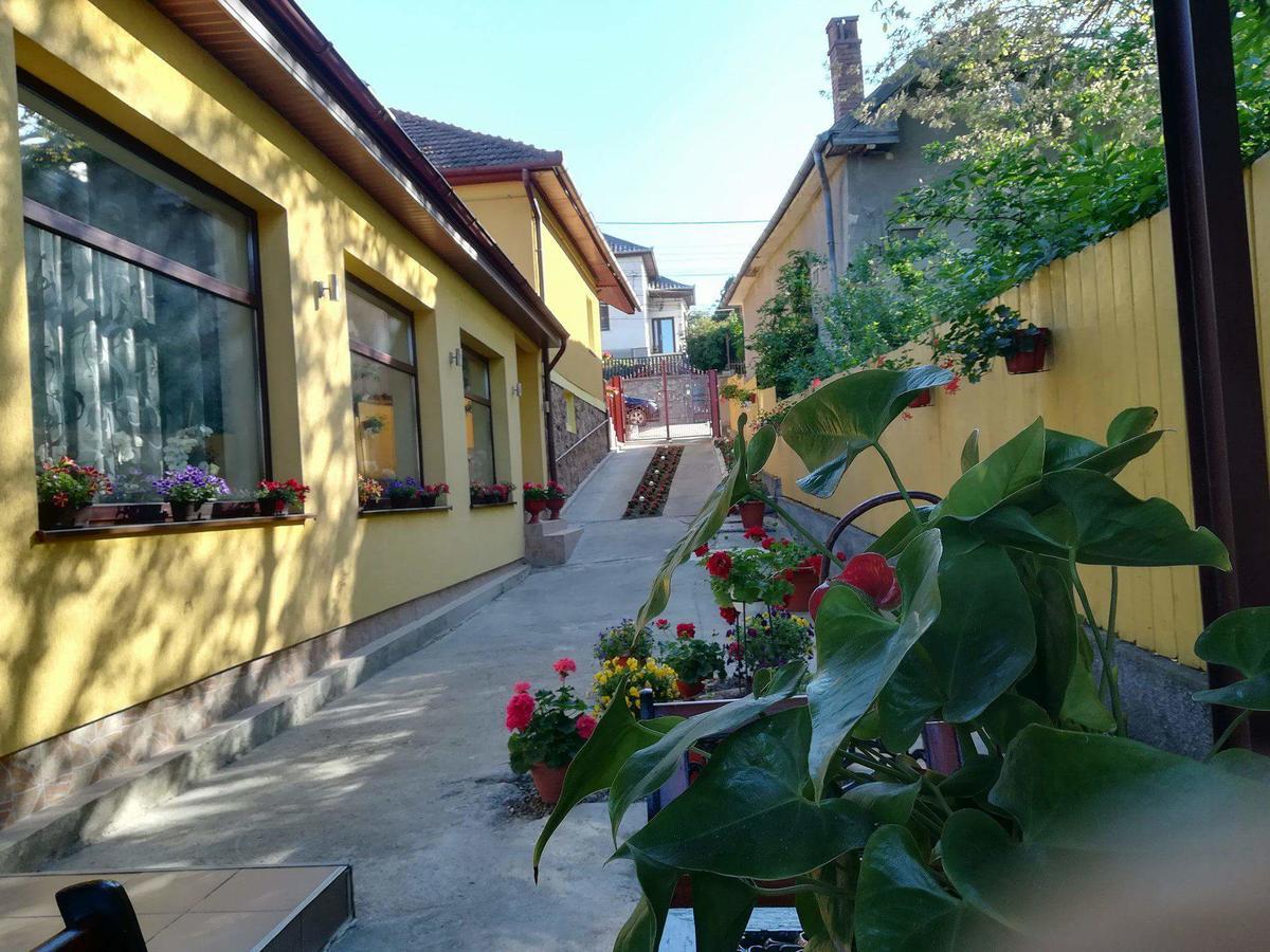 Casa Voica Apartment Turda Bagian luar foto