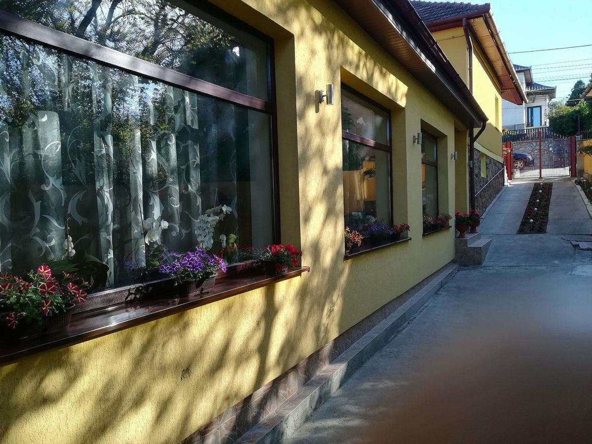 Casa Voica Apartment Turda Bagian luar foto