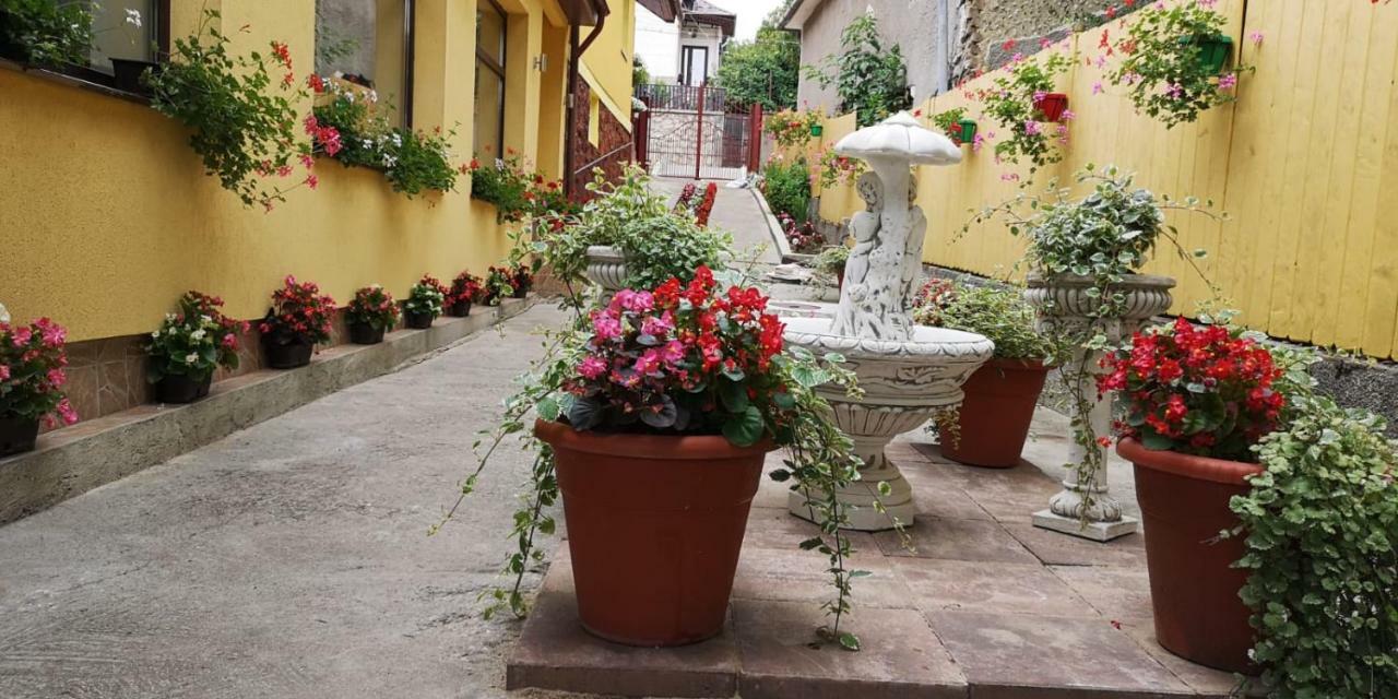 Casa Voica Apartment Turda Bagian luar foto